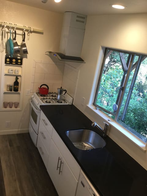 Garden view from kitchen. 