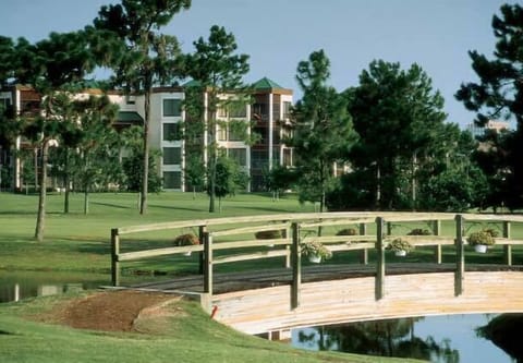 Resort View