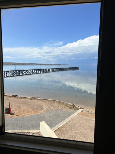 View from window 3 of Apartment 7 - Sea Eagle Nest Studio Apartment 