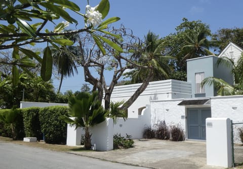 Palm Tree Villa