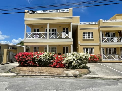 Coral Haven