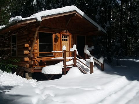 snow in January 
