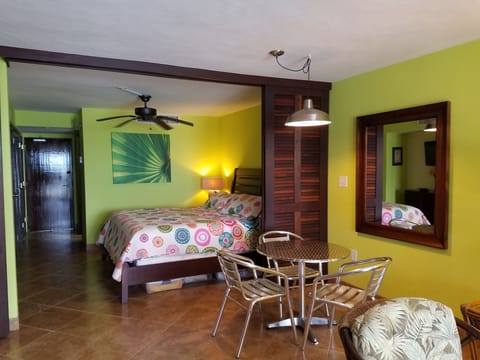 Bedroom and living area 