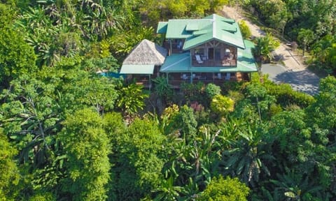 Many animals can be seen daily as they make their home here in the rainforest.