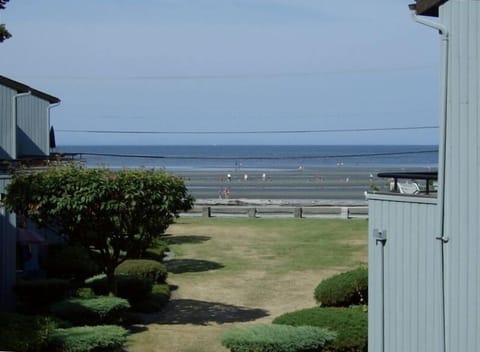 Welcome to Birch Bay, Washington State's premiere recreational beach 
