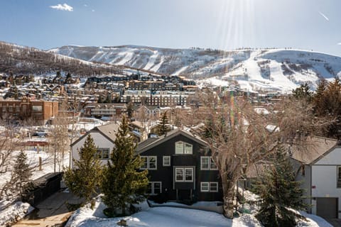Walk to Ski and Next to City Park