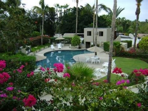 lush tropical pool area