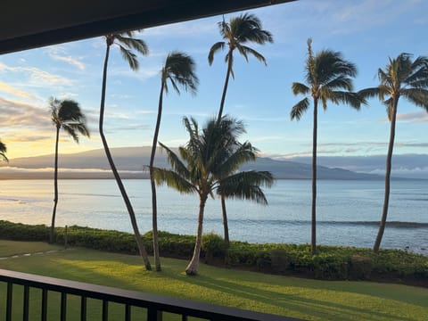 Savor breathtaking ocean views surrounded by swaying palms and vibrant greenery!