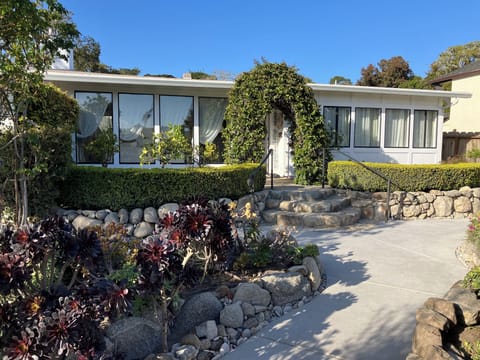 2025 renewed pathways and driveway...