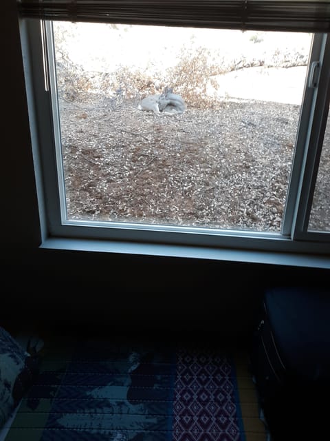 Taking a nap waiting for check in