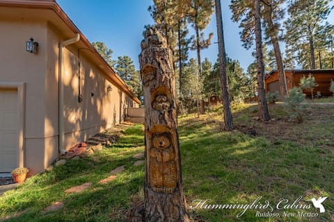 One end of the backyard