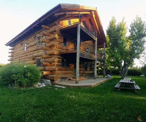 Massive Logs Create a Unique Structure
