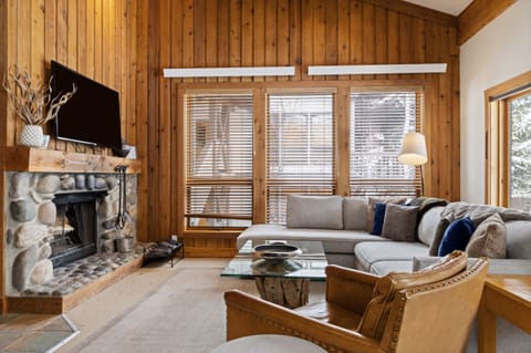 Living room with fireplace