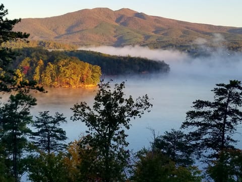 Morning view