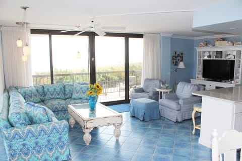 Living room. Looking south with a wide open view