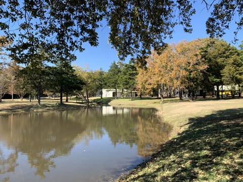 House & Bunkhouse on 21 acres with trails to walk. Sleeps 16! Fishing pond too!