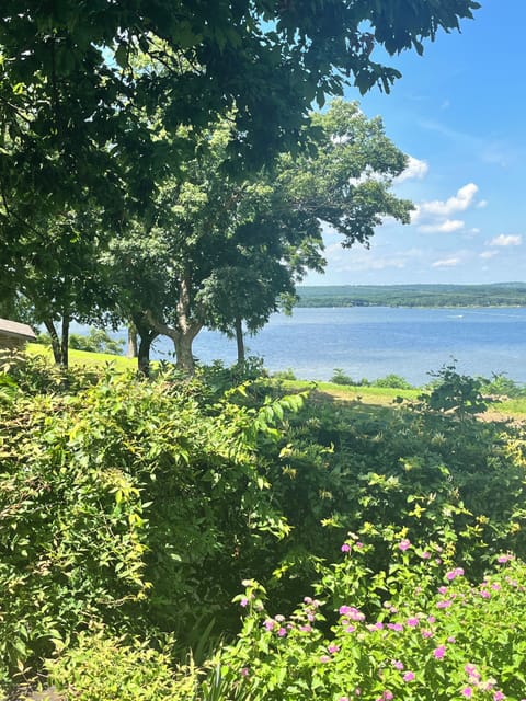 The view from the back yard!