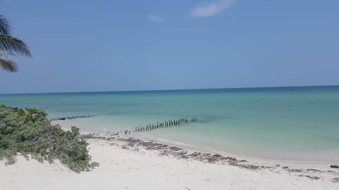Sea 