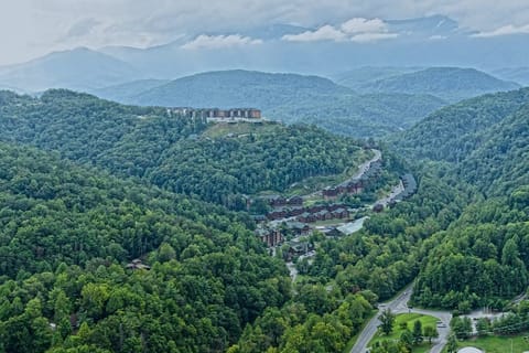 Overall view