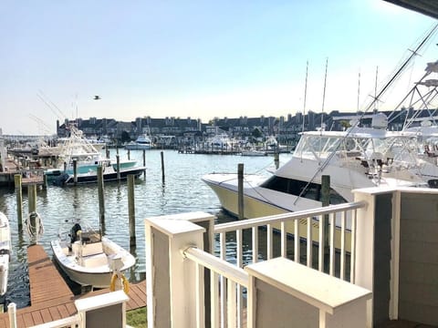 View from Downstairs Balcony