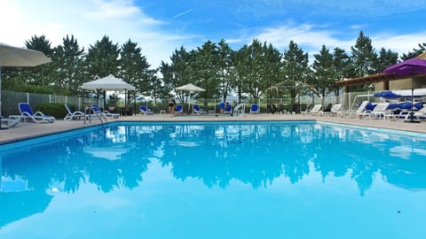 Outdoor pool, sun loungers