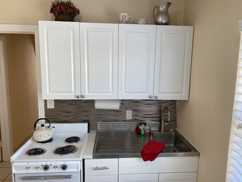 RETRO STAINLESS STEEL COUNTER TOP; NEW SHAKER CABINETS, APPLIANCES & FIXTURES