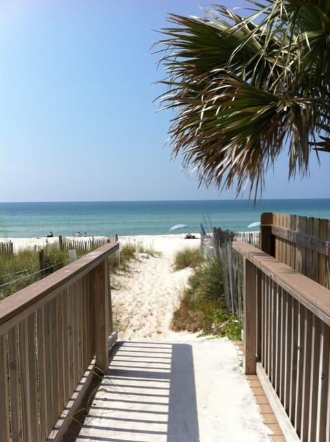 The Beach is Calling 
