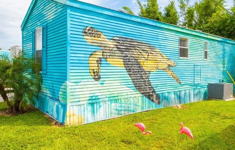 "The Sea Turtle"