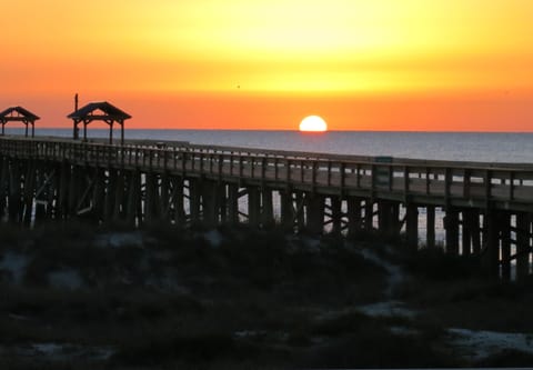 Enjoy the sunrise from the patio that is steps from the private pier.