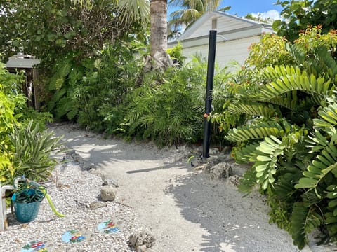 View back from the Beach