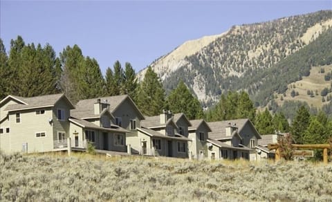 Beautiful Surroundings