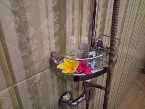 Shower, free toiletries, towels