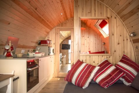 Full-size fridge, microwave, oven, stovetop