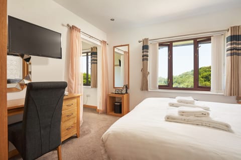 Deluxe Triple Room | Desk, iron/ironing board, free WiFi, bed sheets