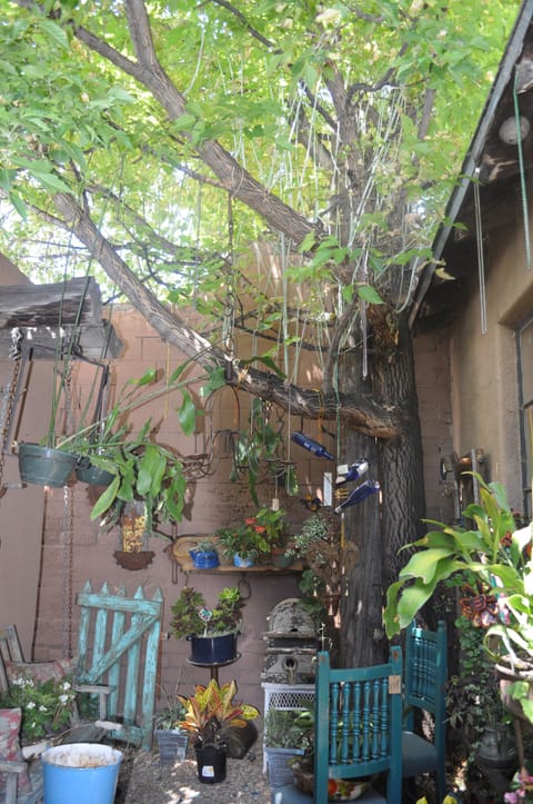 'Secret Garden'. Summer Shade & Color Enjoyed By 2 & 4 Legged Guests Alike!