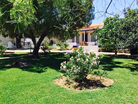 The house, view from the garden.