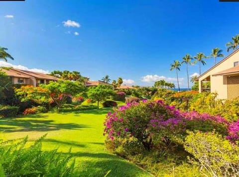 The gardens looking out from the lanai