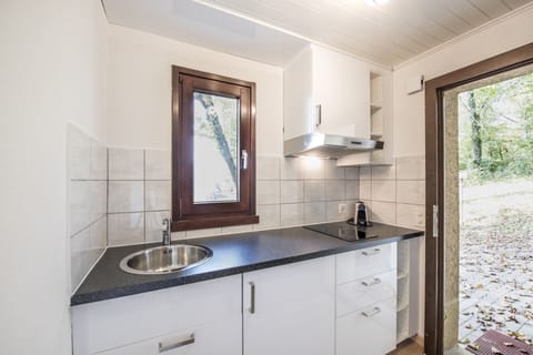 Basic Condo | Private kitchen | Fridge, stovetop, espresso maker, coffee/tea maker