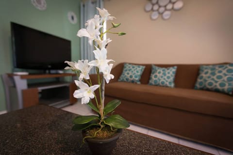 Business Apartment, Courtyard View | Living area | 50-inch flat-screen TV with cable channels, TV, DVD player