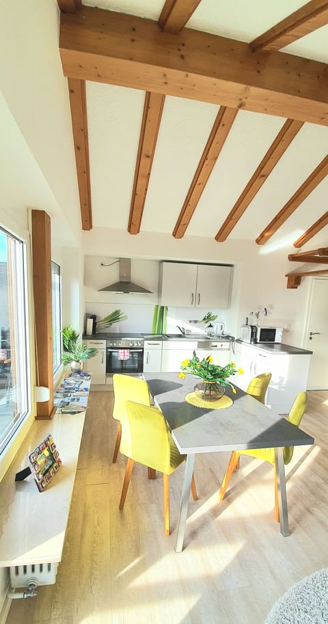 centrally located, modernly furnished 2 rooms apartment (64 m²) | Private kitchen | Full-size fridge, microwave, oven, stovetop
