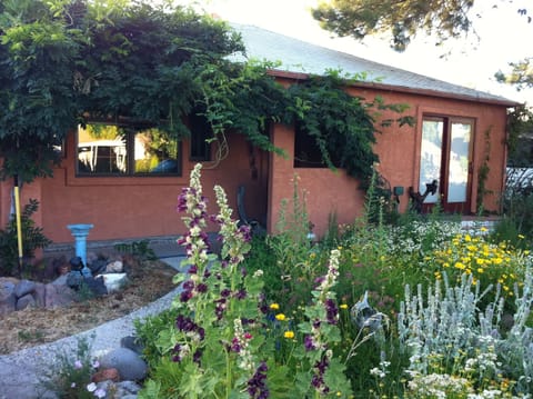 Front of house in full bloom