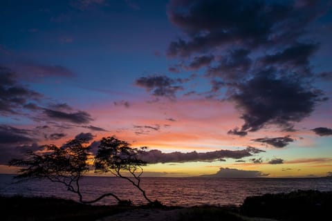 Amazing sunsets