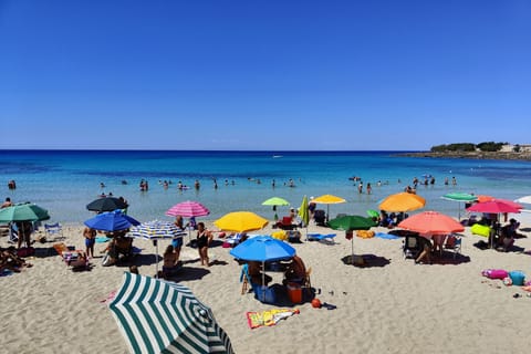 Beach nearby, white sand, fishing