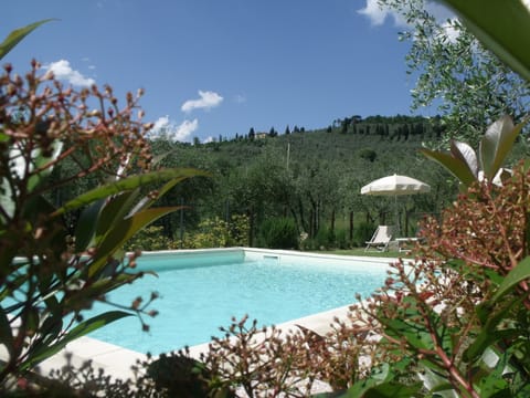 Seasonal outdoor pool, open 9:00 AM to 7:00 PM, sun loungers