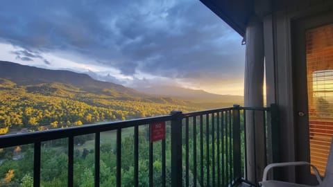 Views of a lifetime