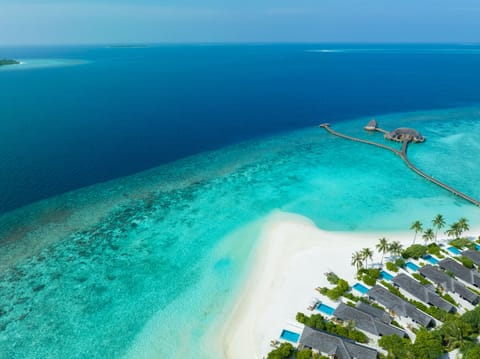 Family Beach Villa with Pool | 1 bedroom, premium bedding, memory foam beds, minibar