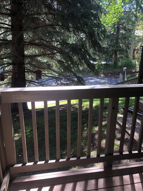 Deck off Master Bedroom