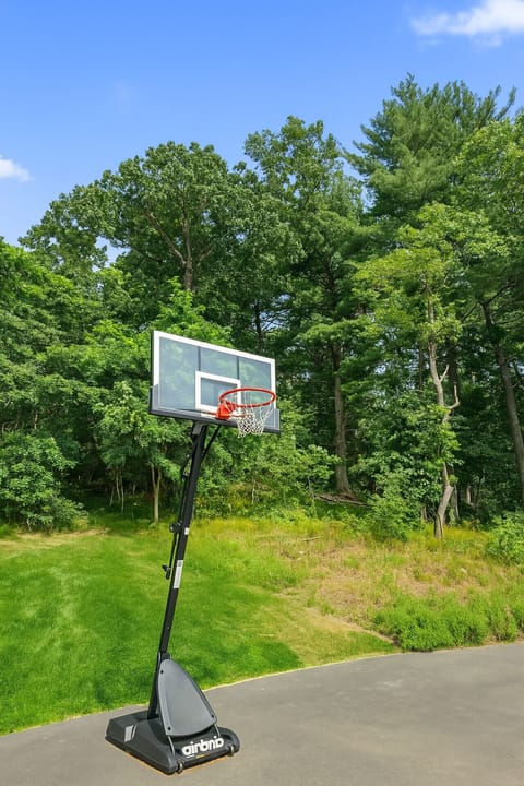 Basketball Hoop