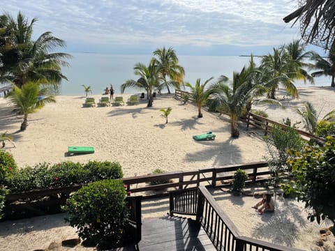 Another shot of the private beach with coconut trees, view from the balcony