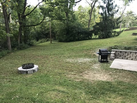 Backyard w/fire pit and barbecue gas grill